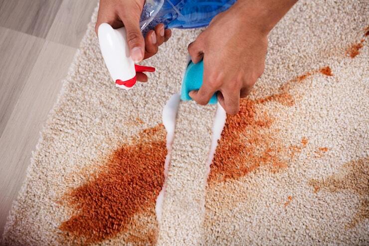 Carpet Cleaning in Wellington